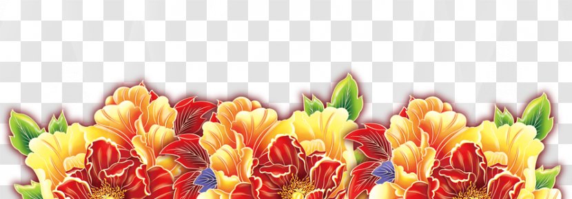 Chinese New Year Icon - Seed Plant - Floral Background Material Transparent PNG