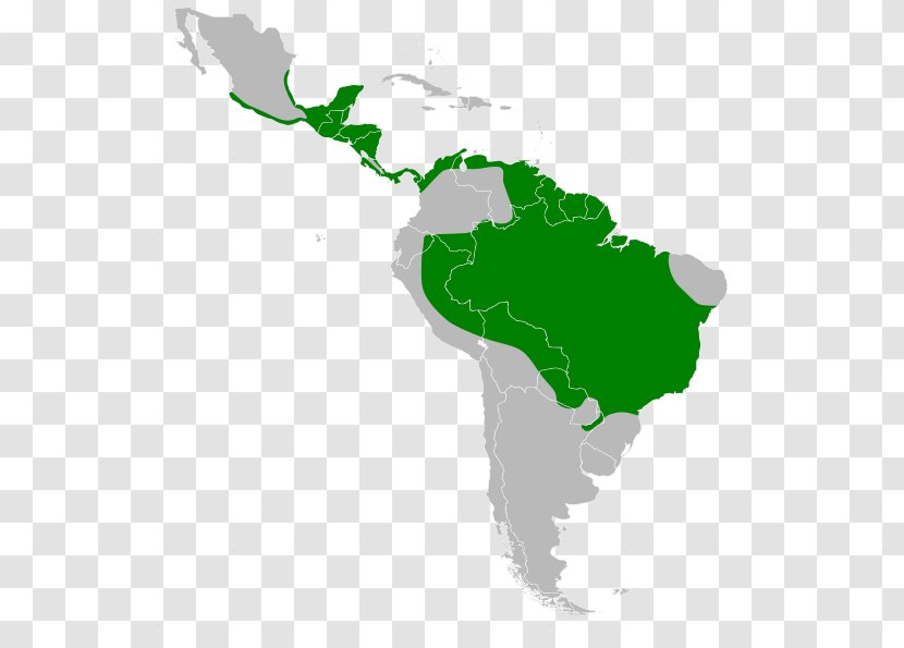 Latin America South United States Region Geography Transparent PNG