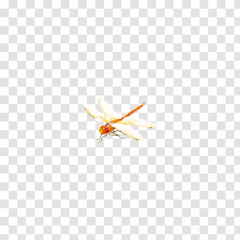 Yellow Wallpaper - Dragonfly Transparent PNG
