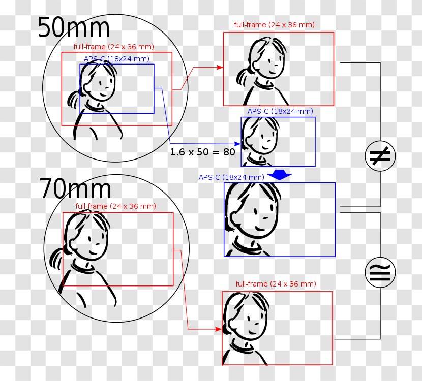 Crop Factor APS-C 35 Mm Equivalent Focal Length Full-frame Digital SLR Advanced Photo System - Tree - Camera Transparent PNG