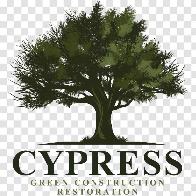 Cypress Energy Partners Partnership Company Organization Business - Management - Fed Transparent PNG