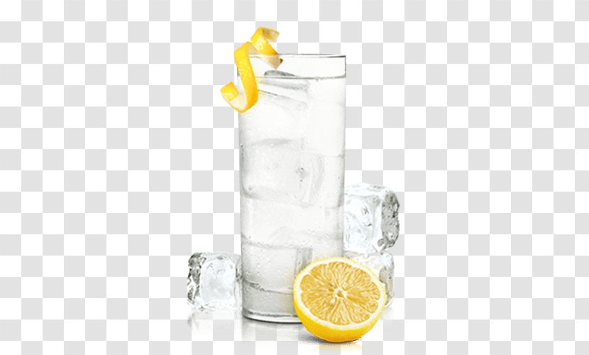 Orange Drink Gin And Tonic Vodka Harvey Wallbanger Lemonade - Highball - Fizz Transparent PNG