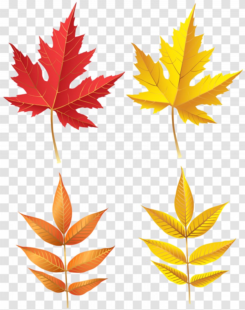 Image File Formats Lossless Compression - Camellia - Autumn Leaves Set Clip Art Transparent PNG
