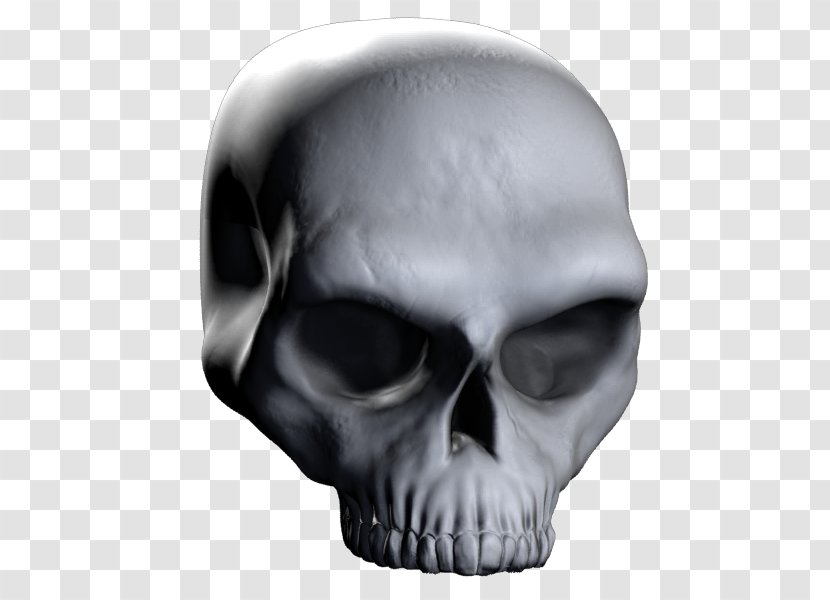 Calavera ZBrush Rendering Skull 3D Computer Graphics - Mandible Transparent PNG