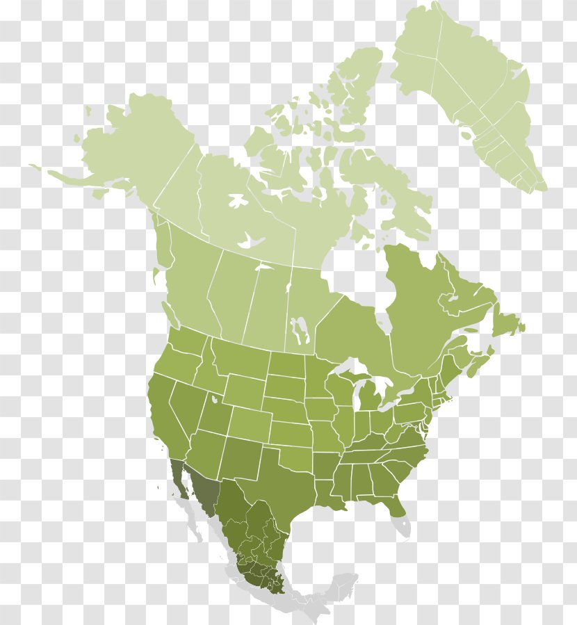 Mexico–United States Border Canada West Coast Of The United Map Transparent PNG
