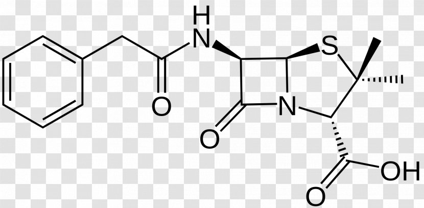 Benzylpenicillin Ampicillin Beta-lactamase β-Lactamase Inhibitor - Penicillin Binding Proteins Transparent PNG