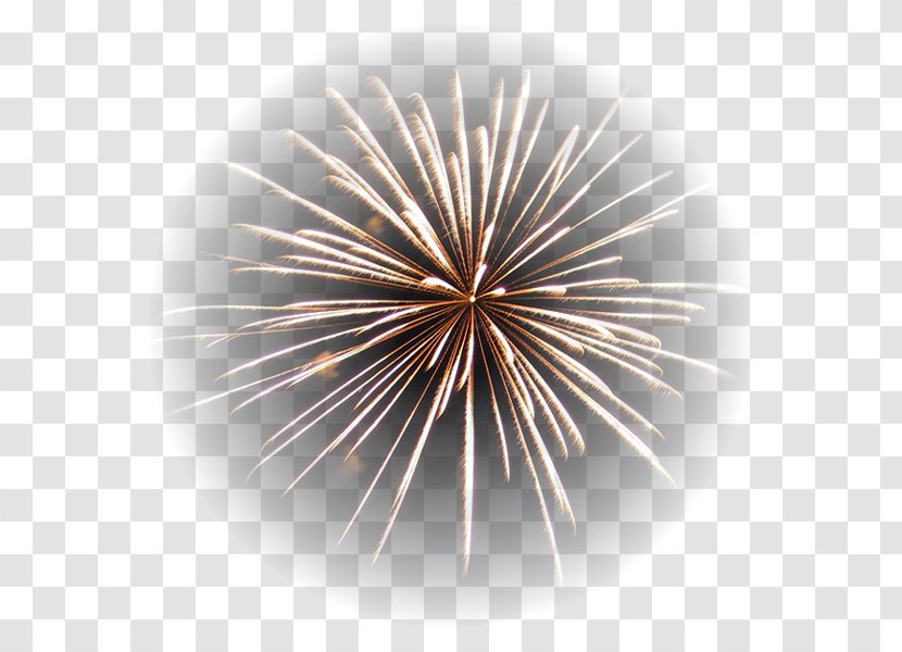 Adobe Fireworks Desktop Wallpaper - Painting Transparent PNG