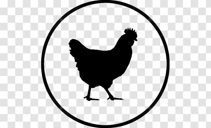 Rhode Island Red Plymouth Rock Chicken Rooster Hen Barbecue - Silhouette - Farm Transparent PNG