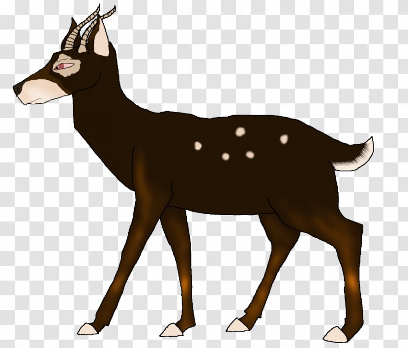 Reindeer Elk White-tailed Deer Musk Deers - Tail Transparent PNG