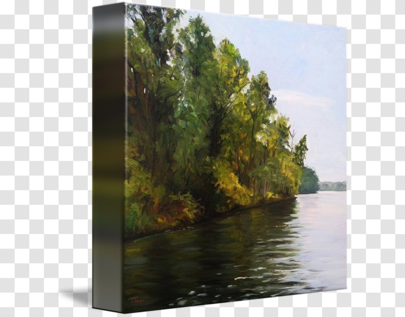 Water Resources Pond Landscape Tree - Inlet Transparent PNG