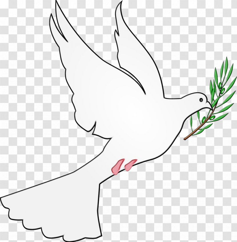 Feather - White - Coloring Book Transparent PNG