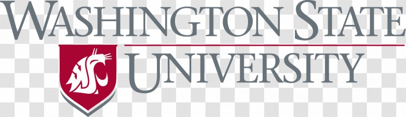 Washington State University Of Liverpool John Moores Bachelor's Degree - Graduate - School Transparent PNG