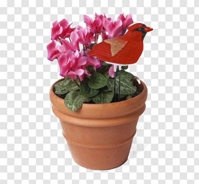Houseplant Flowerpot Watering Cans - Moisture - Flower Pot Transparent PNG