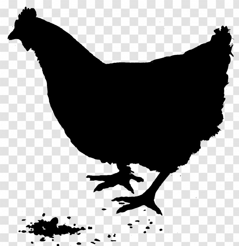 Rooster Silhouette Vector Graphics Chicken As Food Rhode Island Red - Comb Transparent PNG