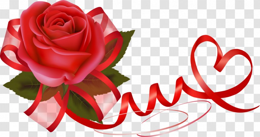 Photography Valentine's Day - Plant - Red Rose Border Transparent PNG