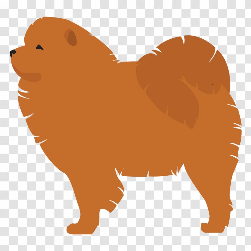 Pomeranian Finnish Spitz Dog Breed Komondor Puppy - Carnivoran Transparent PNG