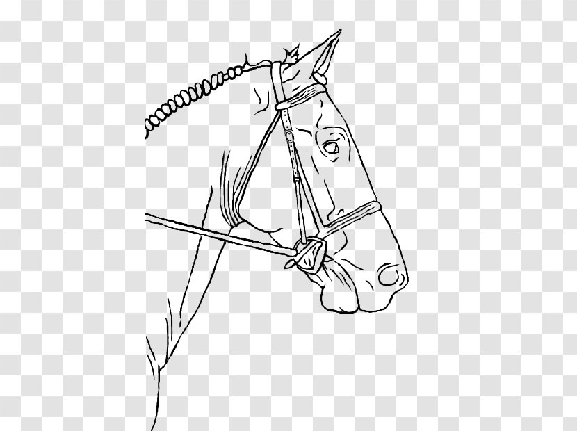 Line Art Horse Drawing Pony Equestrian - Organism Transparent PNG
