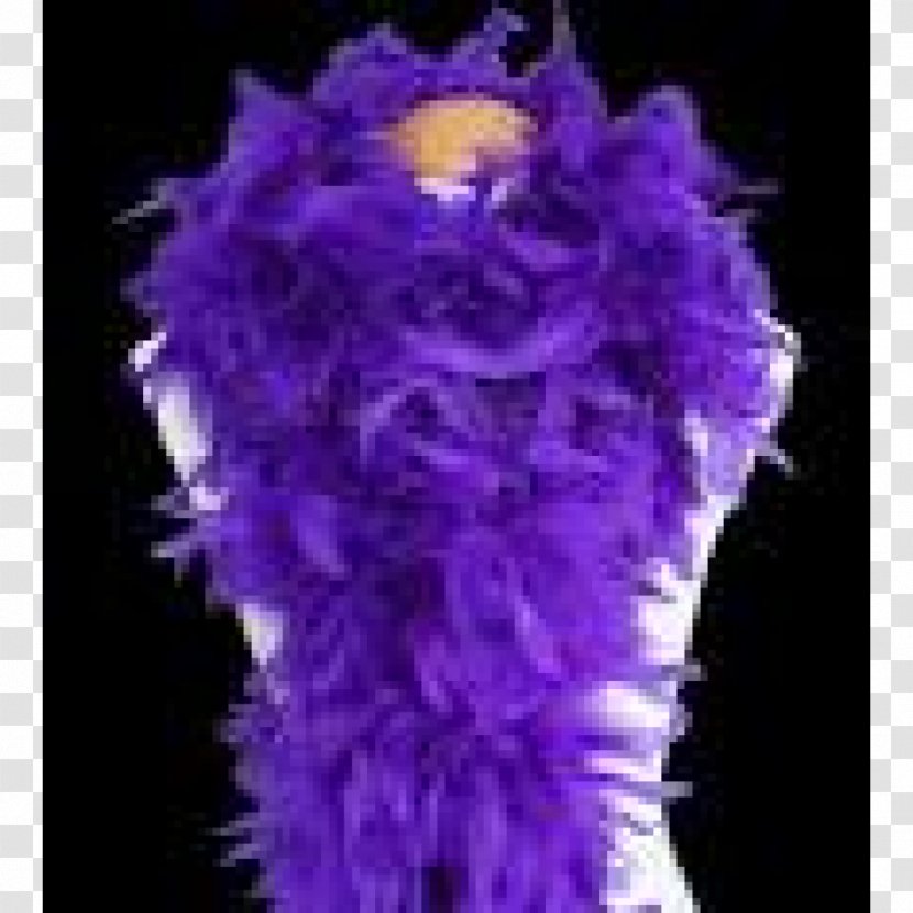 Feather Boa Purple Costume Violet - Teal Transparent PNG