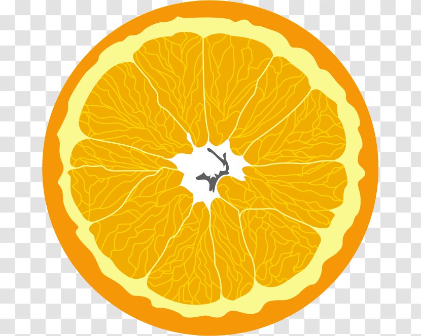 Vitamin E Food B Vitamins Nutrition - Yuzu - Citrus Transparent PNG