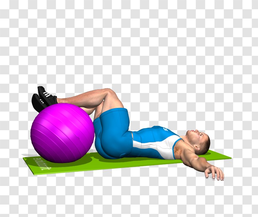 Exercise Balls Abdomen Crunch Abdominal External Oblique Muscle - Watercolor - Totem Transparent PNG