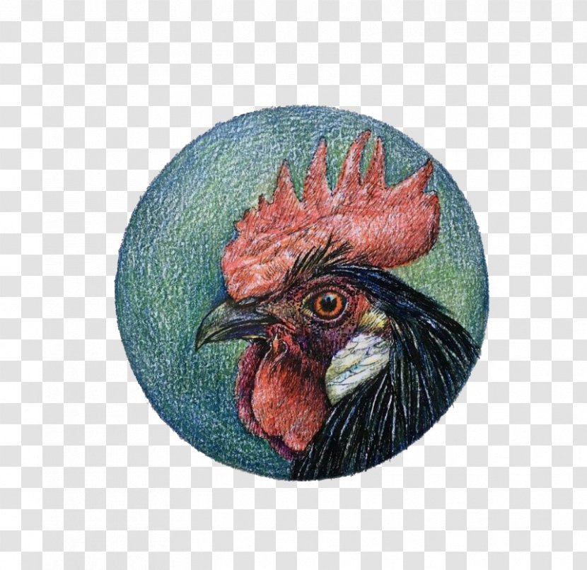 Rooster Chicken - Phasianidae - Painted Round Avatar Transparent PNG