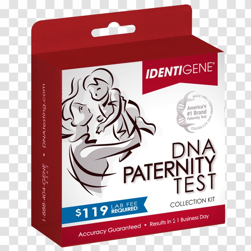 DNA Paternity Testing Genealogical Test Genetic Law - Laboratory - Mung Bean Sprout Transparent PNG