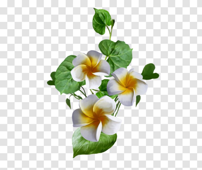 Painting Image Flower Work Of Art Transparent PNG