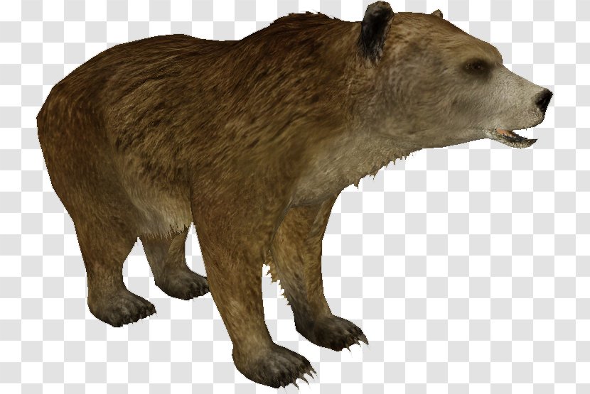 Mexican Grizzly Bear Alaska Peninsula Brown Extinction Wildlife - Animal - Tattoo Transparent PNG