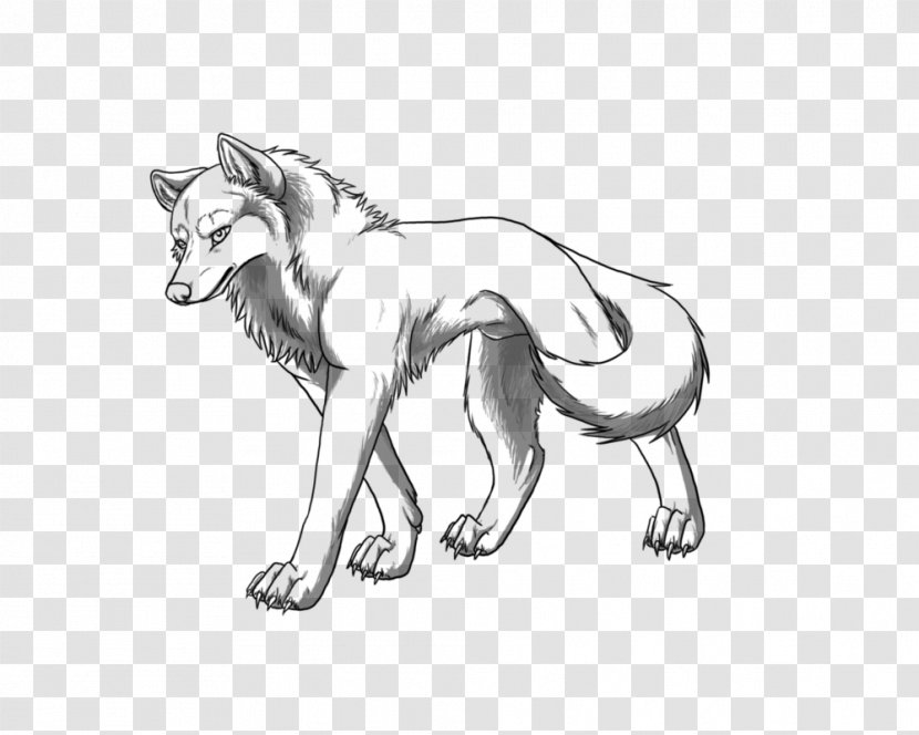 Line Art Gray Wolf Drawing Sketch - Keyword Tool - Furry Transparent PNG