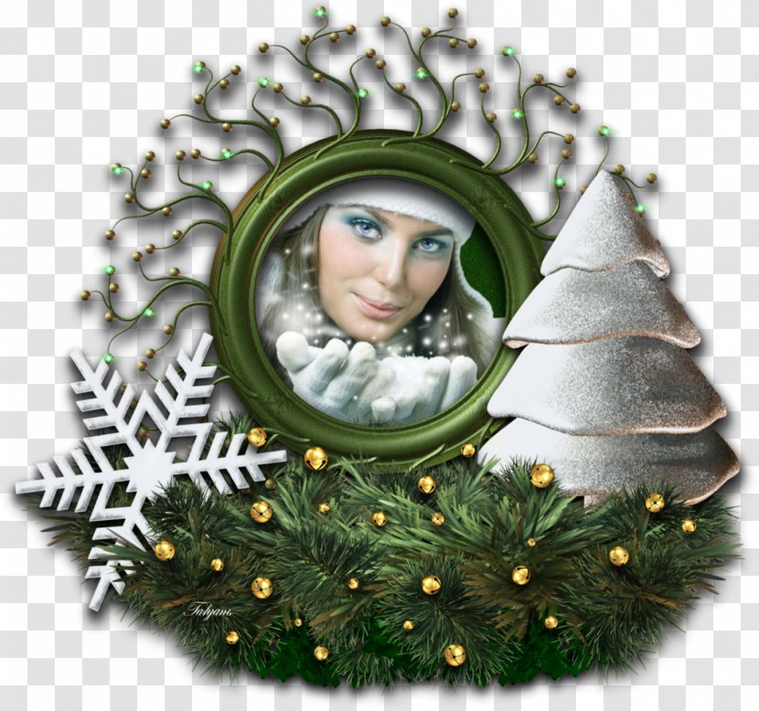 Christmas Tree Ornament Ded Moroz Photography - Decor Transparent PNG
