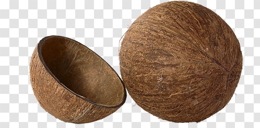 Coconut Dessert Clip Art - Food - Brown Shell Transparent PNG