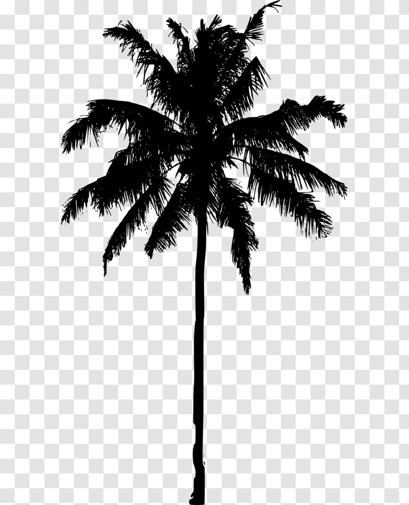 Asian Palmyra Palm Arecaceae Silhouette Tree - Art - Overlooking The Coconut Transparent PNG