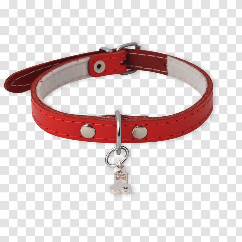 Bracelet Netherlands Jewellery Omega SA Necklace - Dog With Collar Transparent PNG