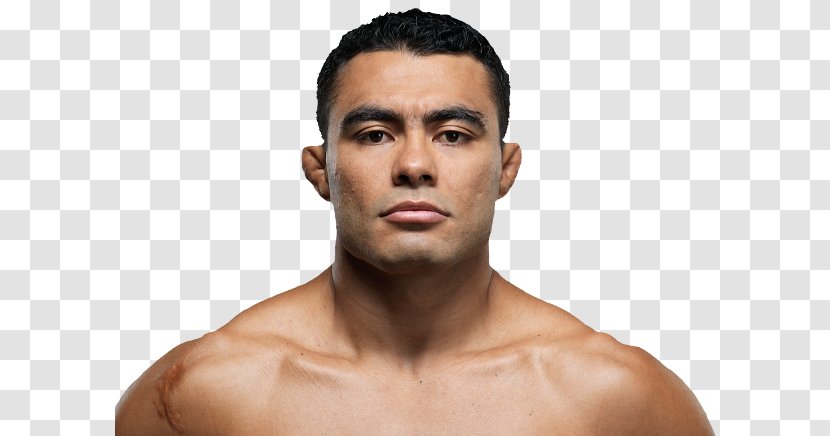 Alistair Overeem UFC 218: Holloway Vs. Aldo 2 Mixed Martial Arts Heavyweight Combat - Frame Transparent PNG