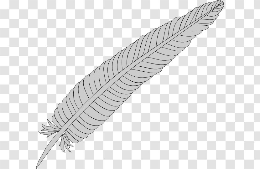 Feather Clip Art - Quill - Cliparts Transparent PNG