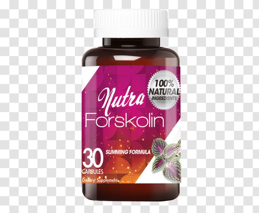 Forskolin Dietary Supplement Weight Loss Coleus Dieting - Fat - Healthy Transparent PNG