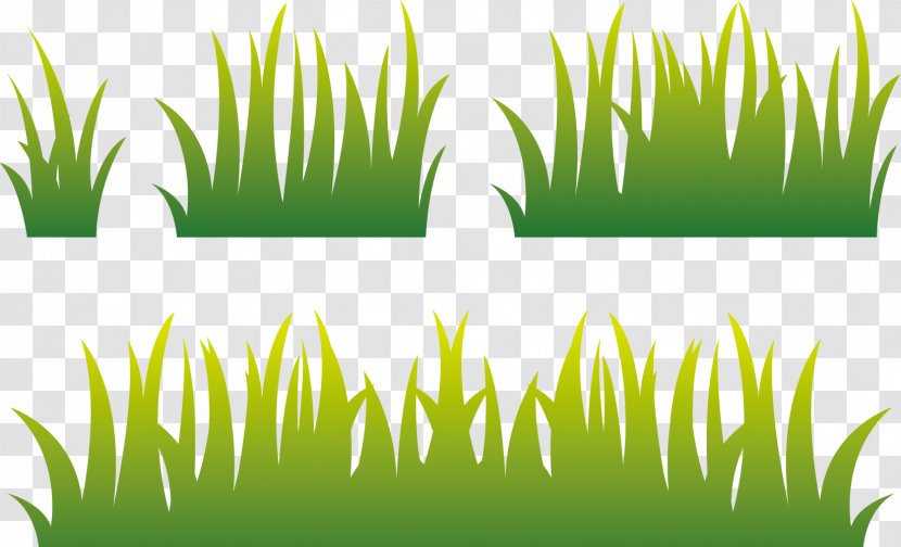 Lawn Euclidean Vector - Text - Paddy Field Transparent PNG