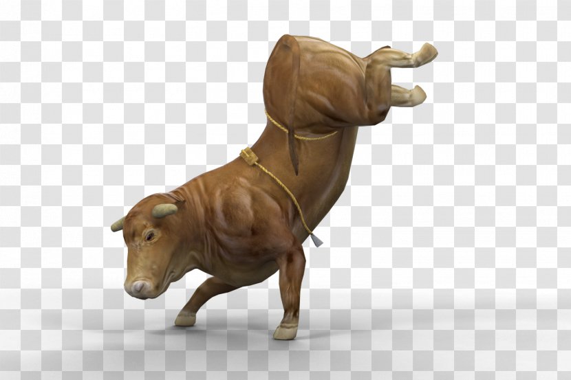 Bull Riding Taurine Cattle Ox Professional Riders Transparent PNG