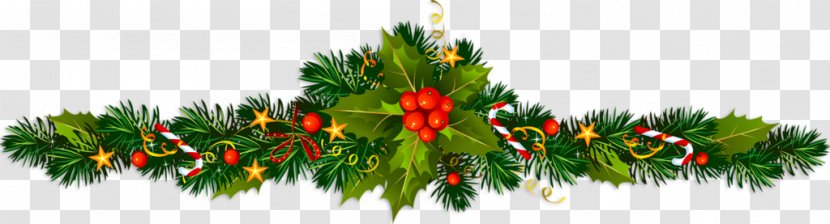 We Wish You A Merry Christmas Ded Moroz New Year Holiday - Evergreen Transparent PNG