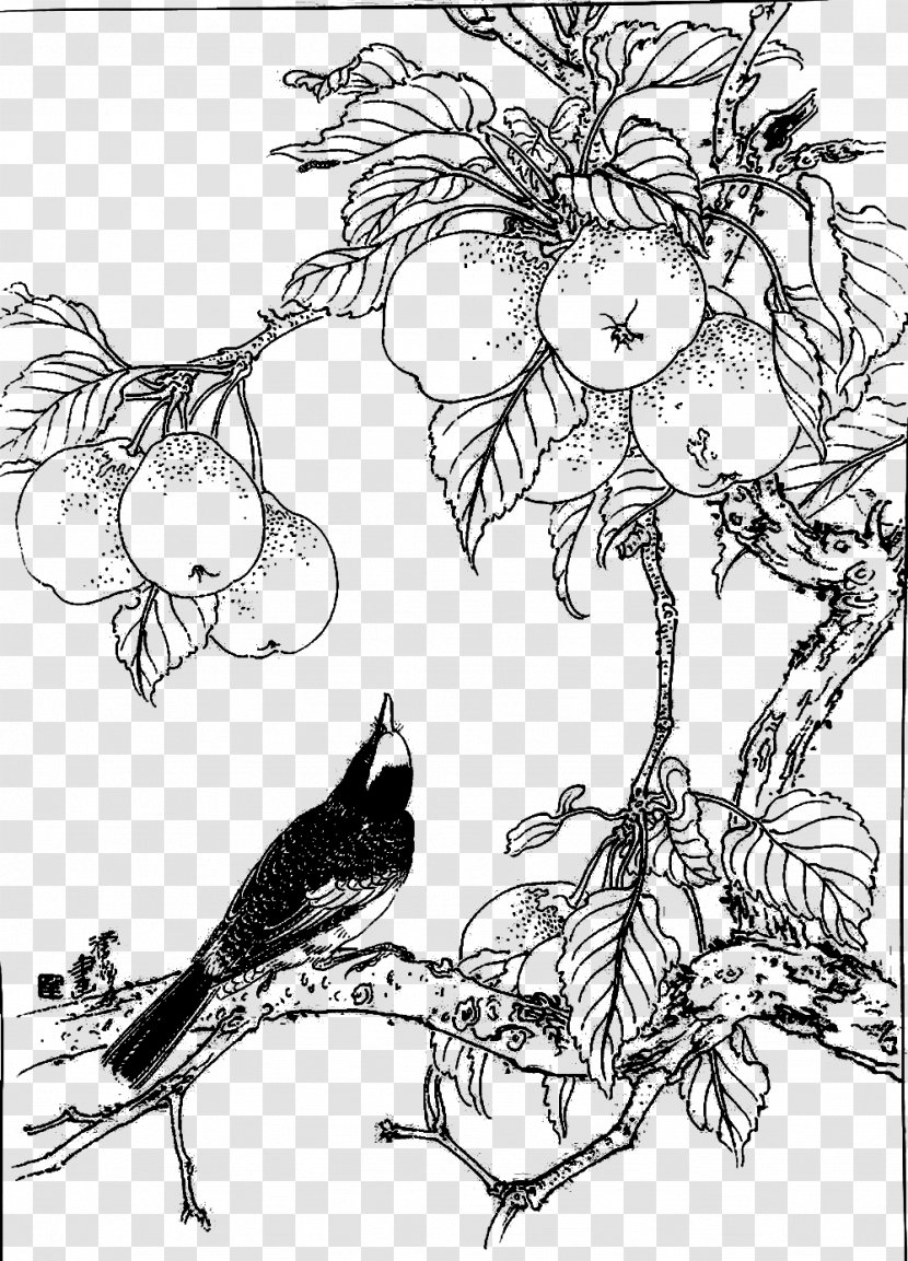 Asian Pear Visual Arts Crows Black And White - Vertebrate - Crow Transparent PNG