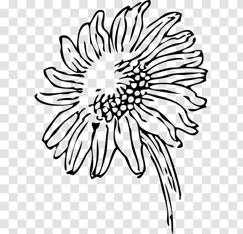 Black And White Drawing Clip Art - Sunflower Color Page Printable Transparent PNG
