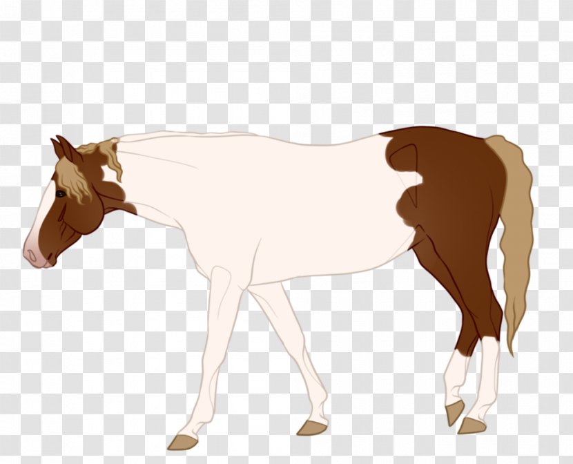 Mule Foal Stallion Mare Colt - Animal Figure - Mustang Transparent PNG