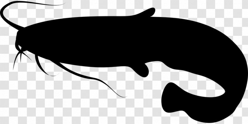 Catfish Drawing - Monochrome - Neck Transparent PNG