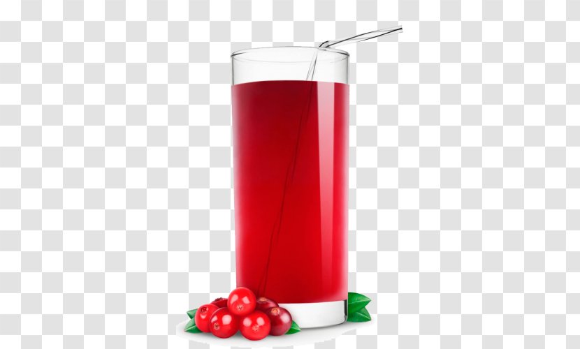 Apple Juice Cranberry Fizzy Drinks - Food Transparent PNG