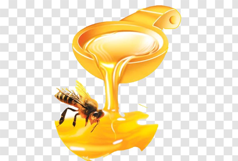 Honey Bee Pancake Food - Sugar Transparent PNG