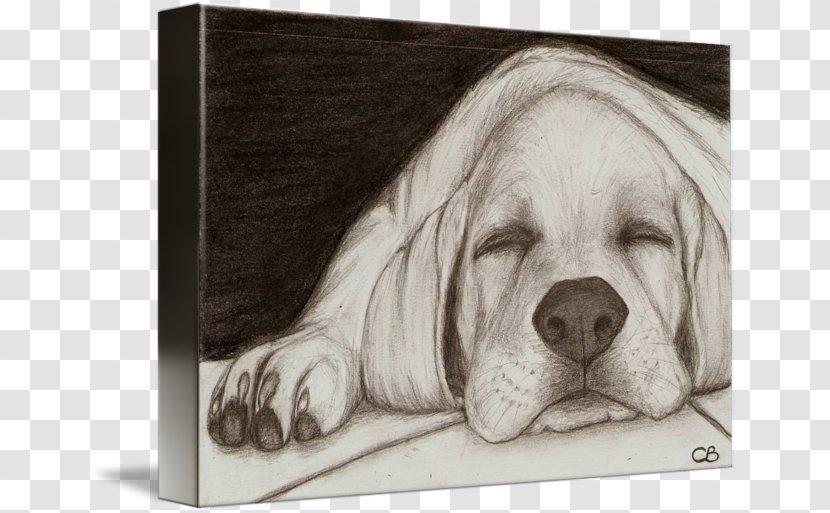 Labrador Retriever Golden Puppy Dog Breed Sketch - Colored Pencil Transparent PNG