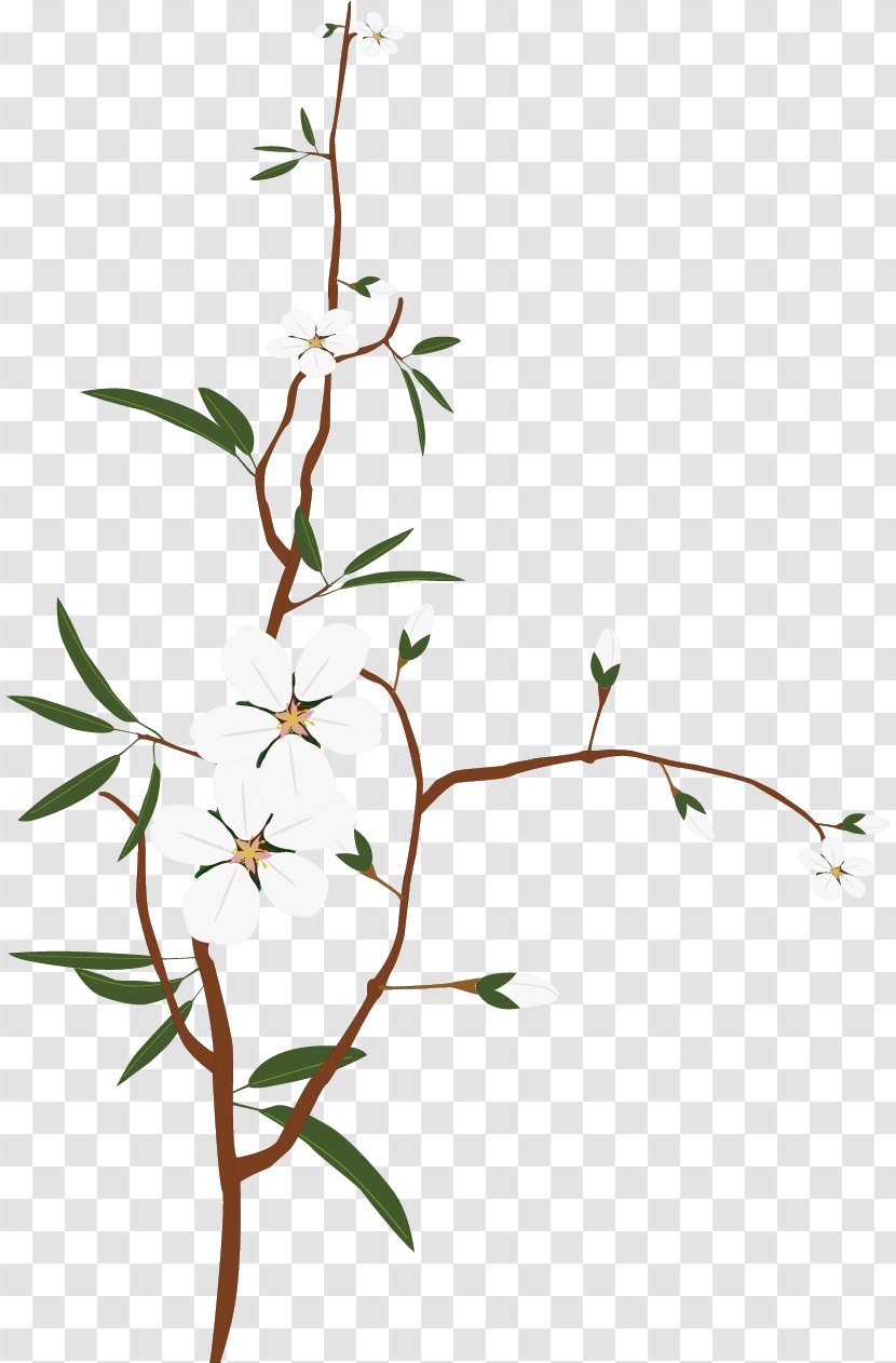 Twig - Plum Blossom - Snow White Material Transparent PNG