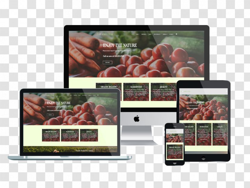 Responsive Web Design Template System WordPress - Multimedia - Employees Work Permit Transparent PNG