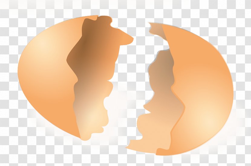 Chicken Eggshell Clip Art - Egg White - Crack Transparent PNG