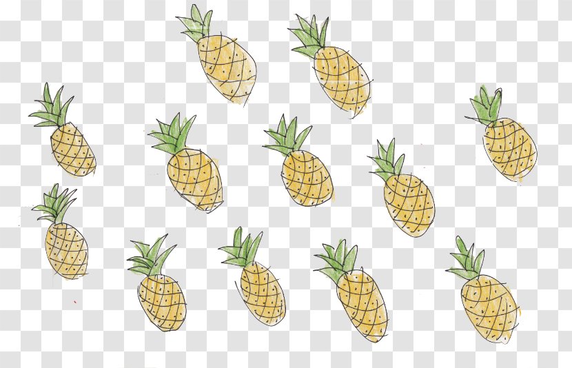 Pineapple 8tracks.com Love Is... We Heart It Transparent PNG